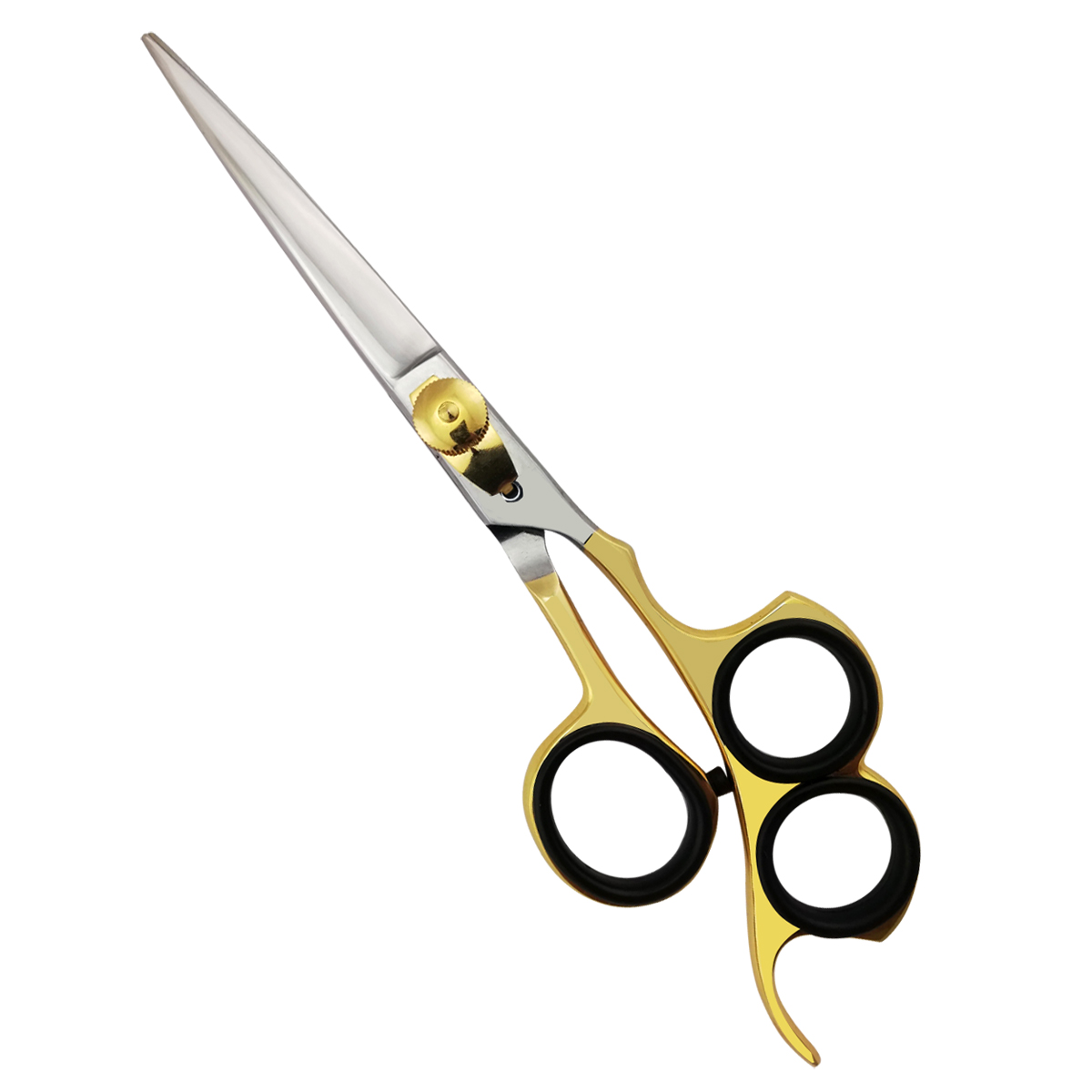 Professional hair Cutting Scissors