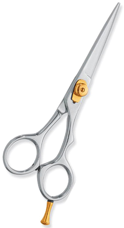 Professional hair Cutting Scissors