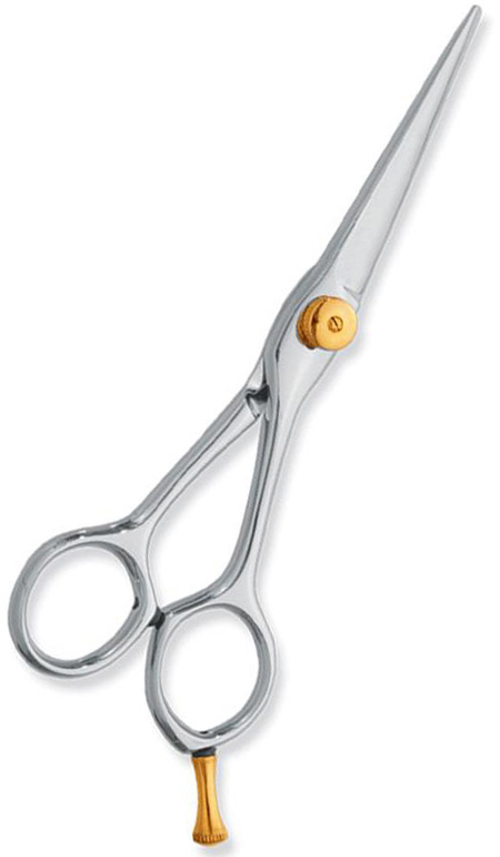 Professional hair Cutting Scissors