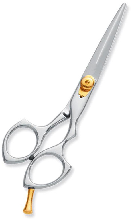 Professional hair Cutting Scissors