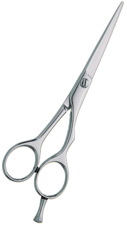 Professional hair Cutting Scissors