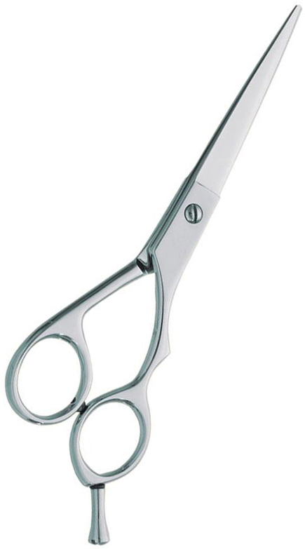 Professional hair Cutting Scissors