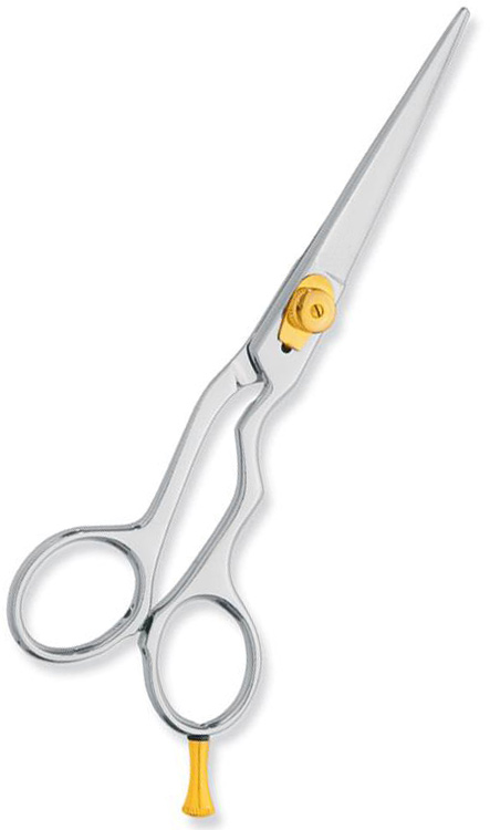 Professional hair Cutting Scissors