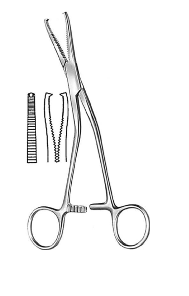 Dingmann Cartilage Seizing Forceps