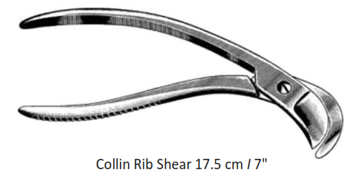 Collin Rib Shears