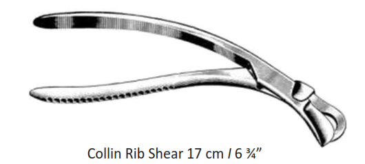 Collin Rib Shears