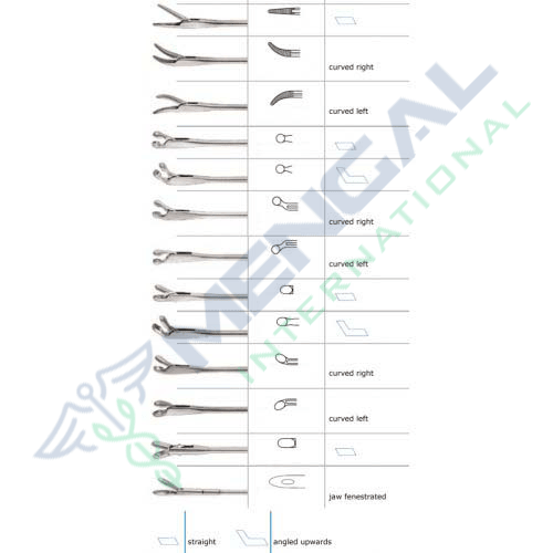 Micro laryngeal forceps