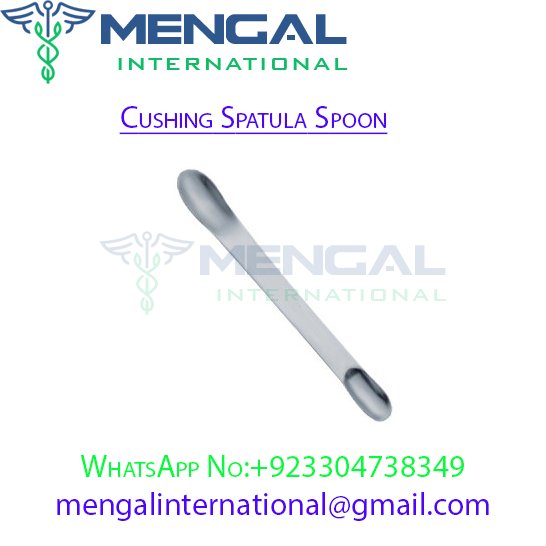 Cushing Spatula Spoon