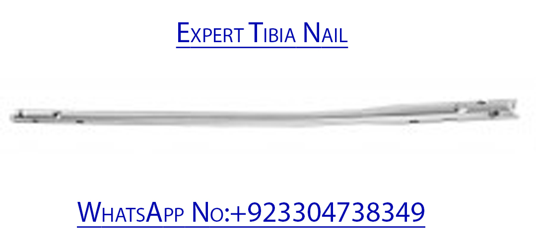 Expert Tibia & Femur