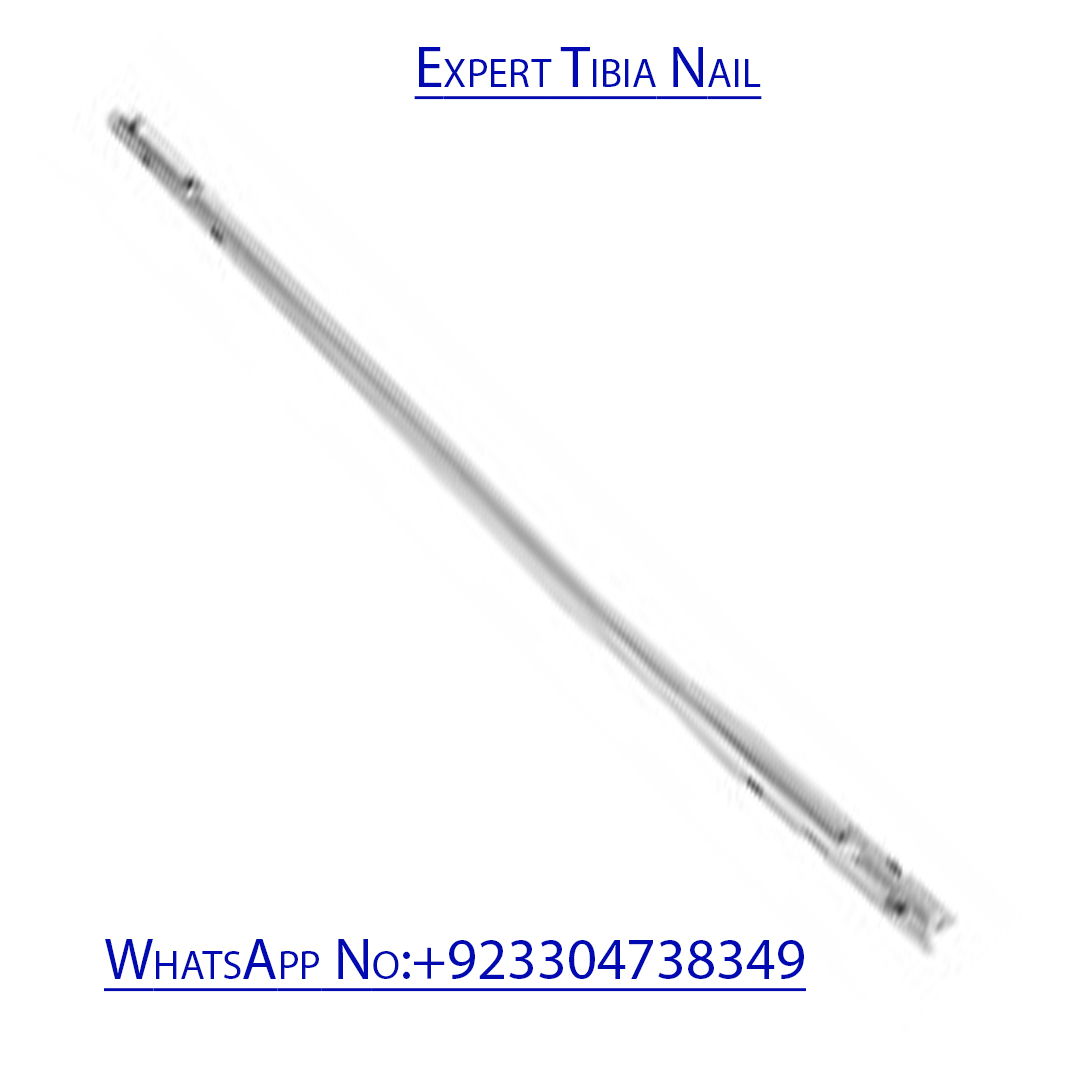Expert Tibia & Femur