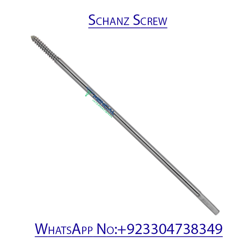 Schanz Screw