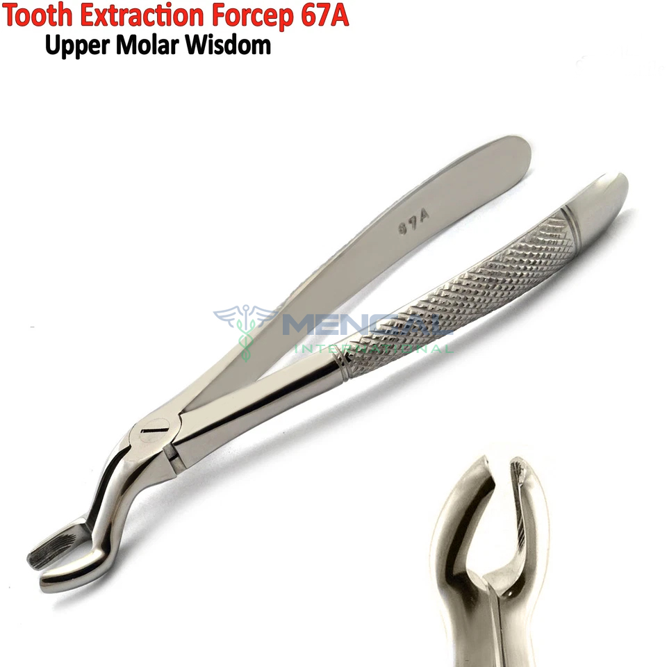 Oral Surgery Tooth Extraction Forceps Surgical Dental Teeth Extracting Forceps