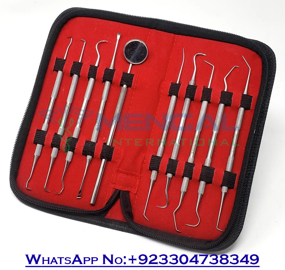 Professional Dental Oral Kit-Scaler Probe Pick SET Mirror-Tools German Stainless