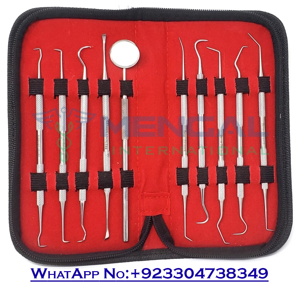 Professional Dental Oral Kit-Scaler Probe Pick SET Mirror-Tools German Stainless