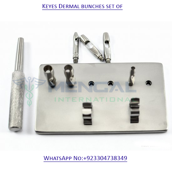 Keyes Dermal bunches set of 6 pcs. Dental Implantology surgical Dermatology 4