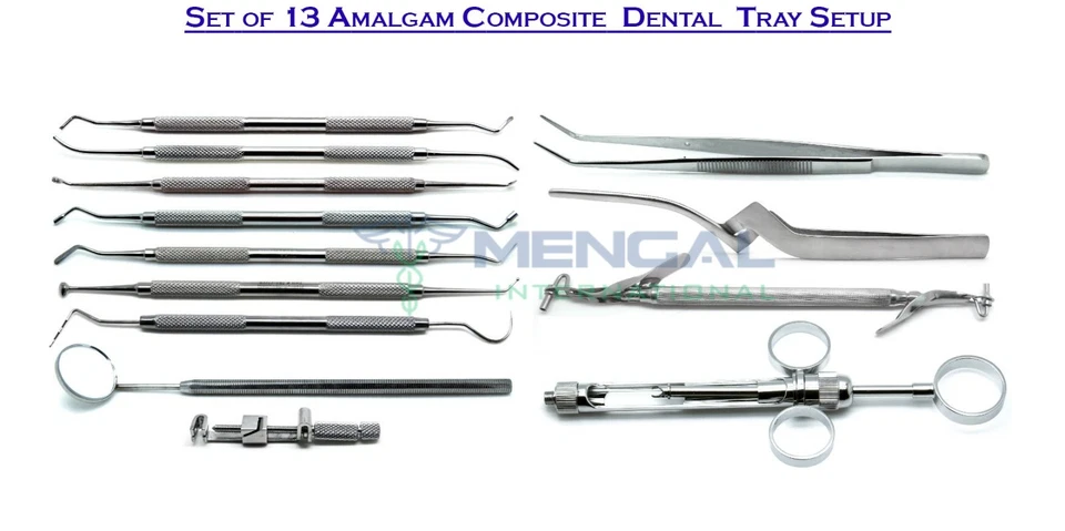 Amalgam Composite Set of 13 Dental Stainless Steel Premium Tray Setup