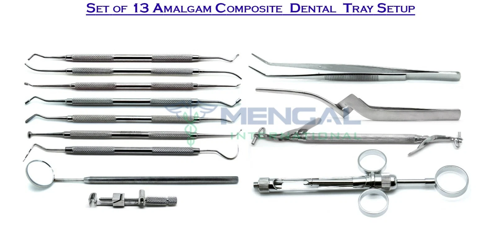 Amalgam Composite Set of 13 Dental Stainless Steel Premium Tray Setup