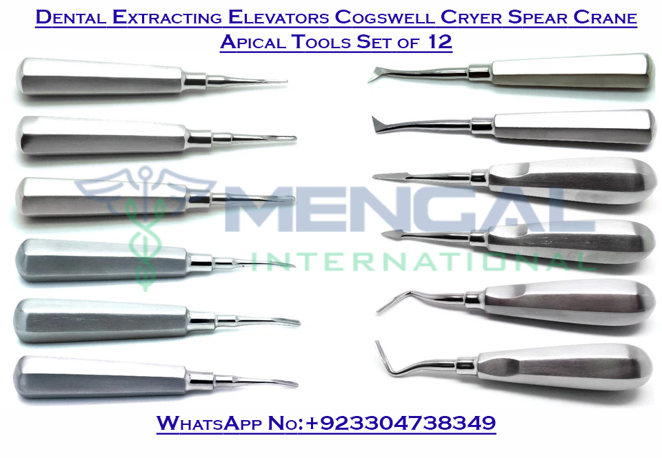 Dental Extracting Elevators Cogswell Cryer Spear Crane Apical Tools Set of 12